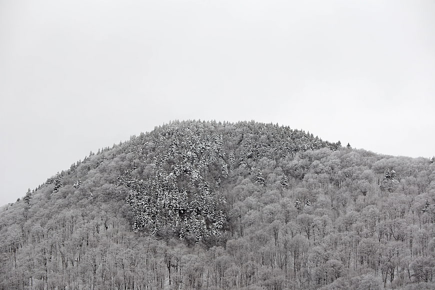Snow-covered mountain forest in grayscale winter landscape