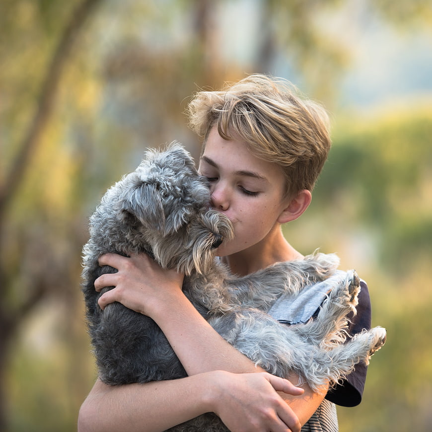 Boy Hugging and Kissing Grey Schnoodle Dog Outdoors