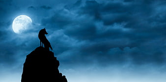 Silhouette of a wolf standing on a rocky peak under a full moon