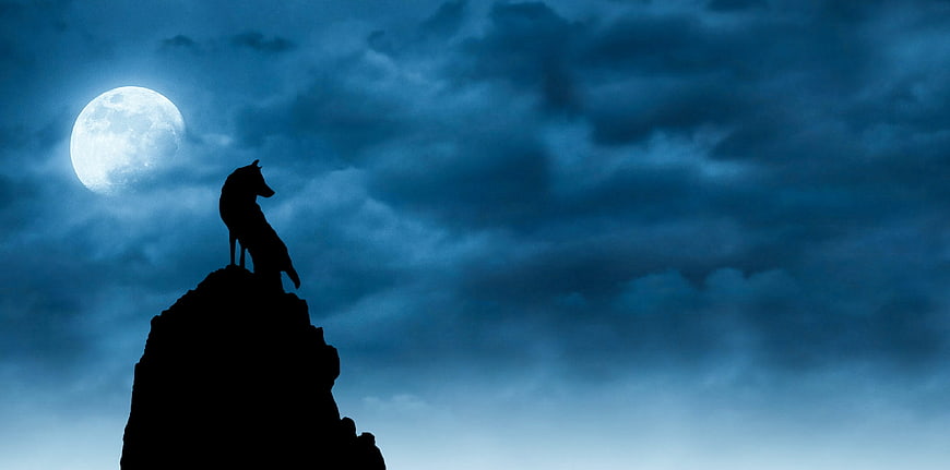 Silhouette of a wolf standing on a rocky peak under a full moon