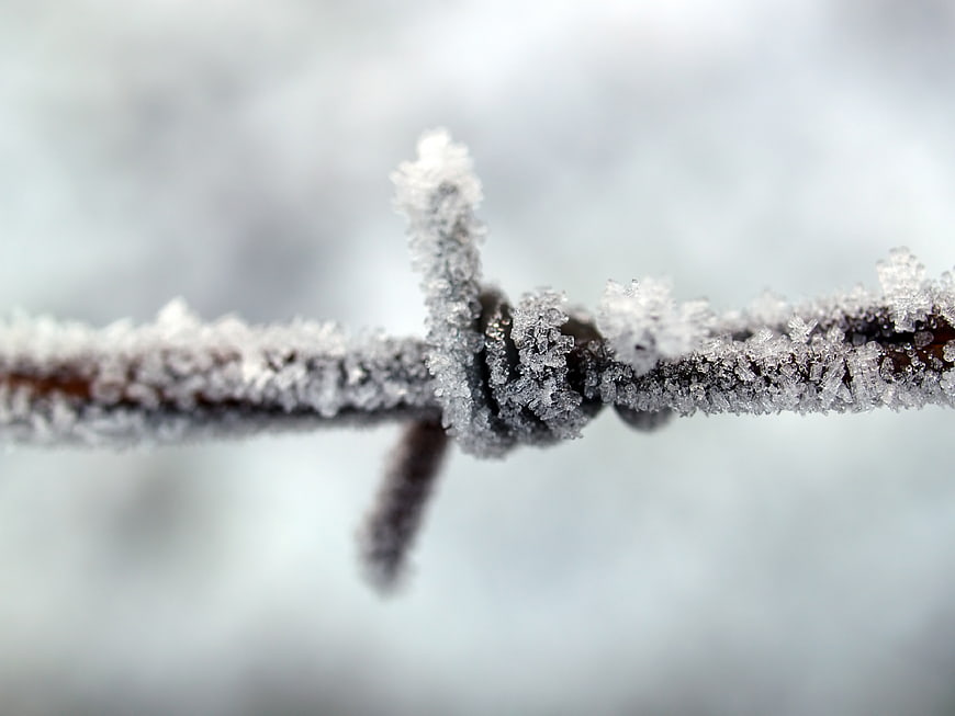 Close-up of Frosty Barbed Wire in Winter