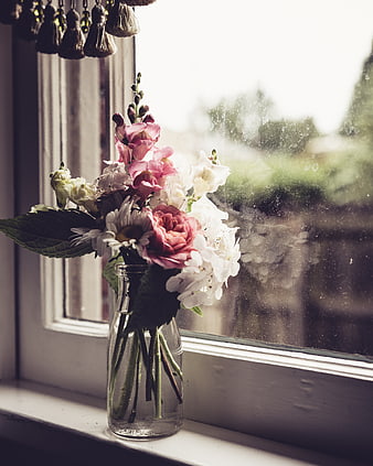 Pink and white flowers in glass vase on rainy window sill