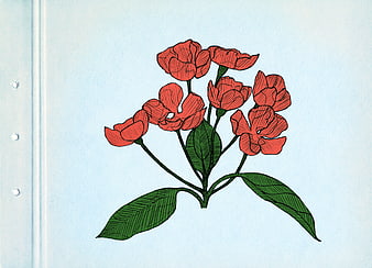 Vintage red flower illustration on blue paper