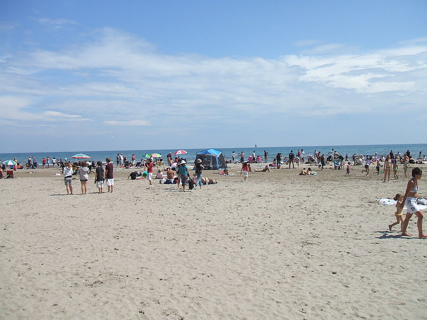 Crowded Beach Scene with People Relaxing on Sand