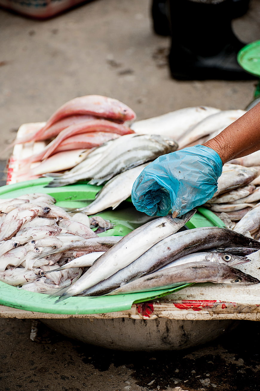 Fresh Seafood Market Stall with Fish and Squid