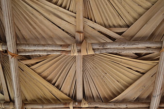 Textured Thatched Palm Roof with Wooden Beams