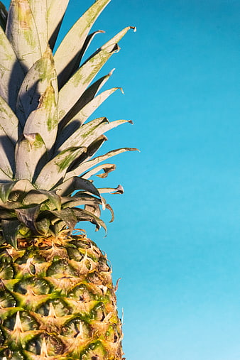 Close-up of a pineapple crown against a clear blue sky
