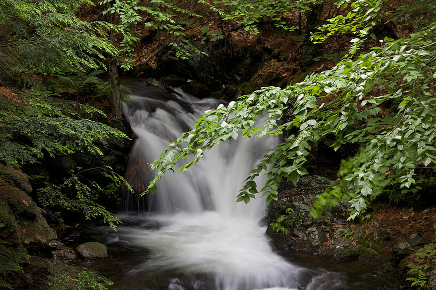 Serene Forest Waterfall with Lush Green Foliage