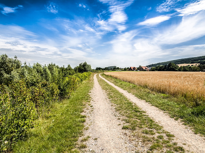 Gravel path through rural landscape with wheat field and blue sky
