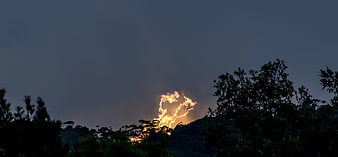 Dramatic Lightning Storm Over Silhouetted Forest Hills