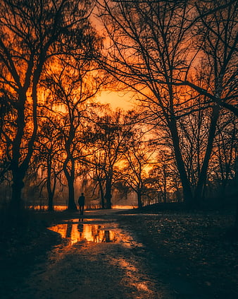 Silhouette of Person Walking on Wet Path at Sunset