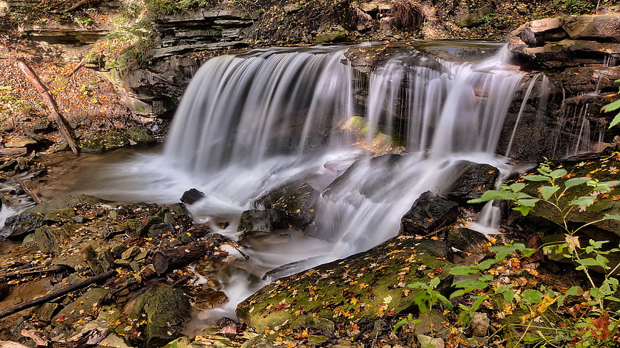 Serene Forest Waterfall with Smooth Flowing Water