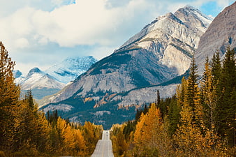 Autumn Road Leading Through Golden Forests Toward Snowy Mountains