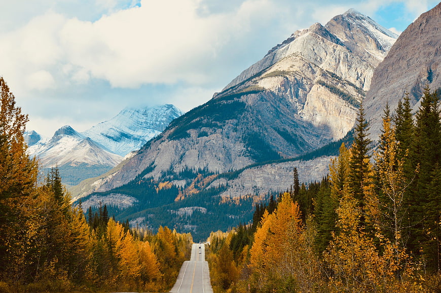Autumn Road Leading Through Golden Forests Toward Snowy Mountains