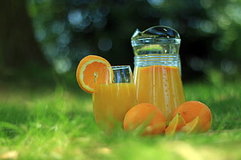 Fresh Orange Juice in Glass Pitcher and Cup on Grass