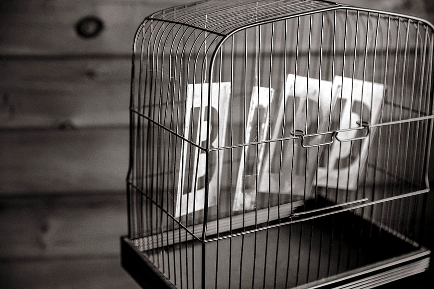 Black and white birdcage with money inside on wooden background