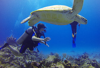 Scuba Diver Swimming Beneath Large Sea Turtle in Blue Ocean