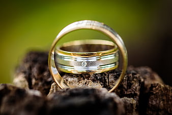 Gold and Silver Wedding Rings on Wood