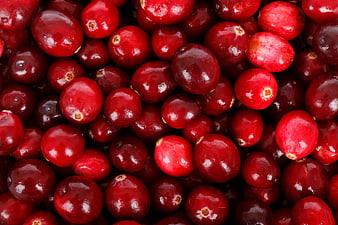 Fresh Ripe Cranberries Close Up Red Berry Texture Background