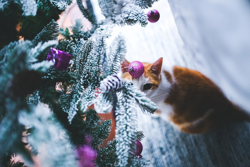 Curious Ginger Cat Playing with Christmas Tree Ornaments