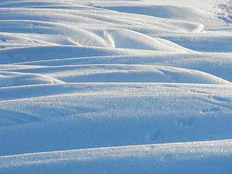 Sparkling Snow Dunes in Winter Sunlight