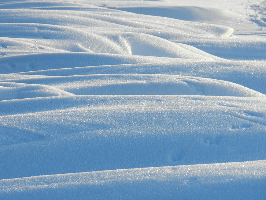 Sparkling Snow Dunes in Winter Sunlight