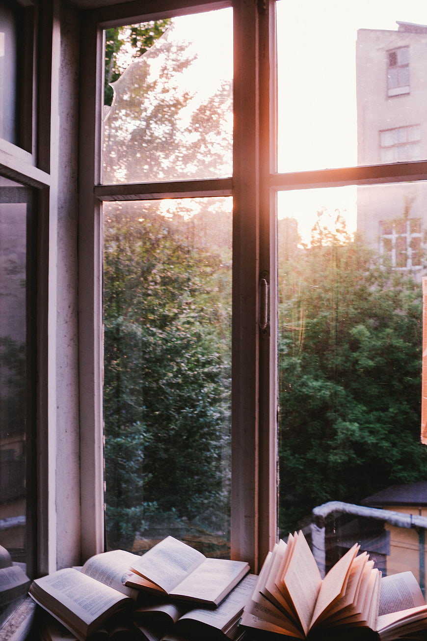 Open books on windowsill with warm sunlight and green view
