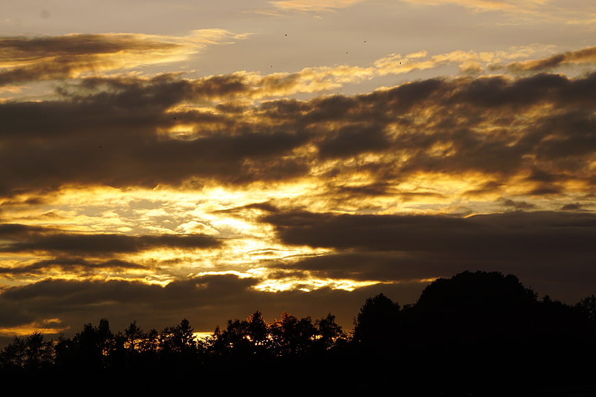 Dramatic golden sunset sky with clouds and tree silhouette