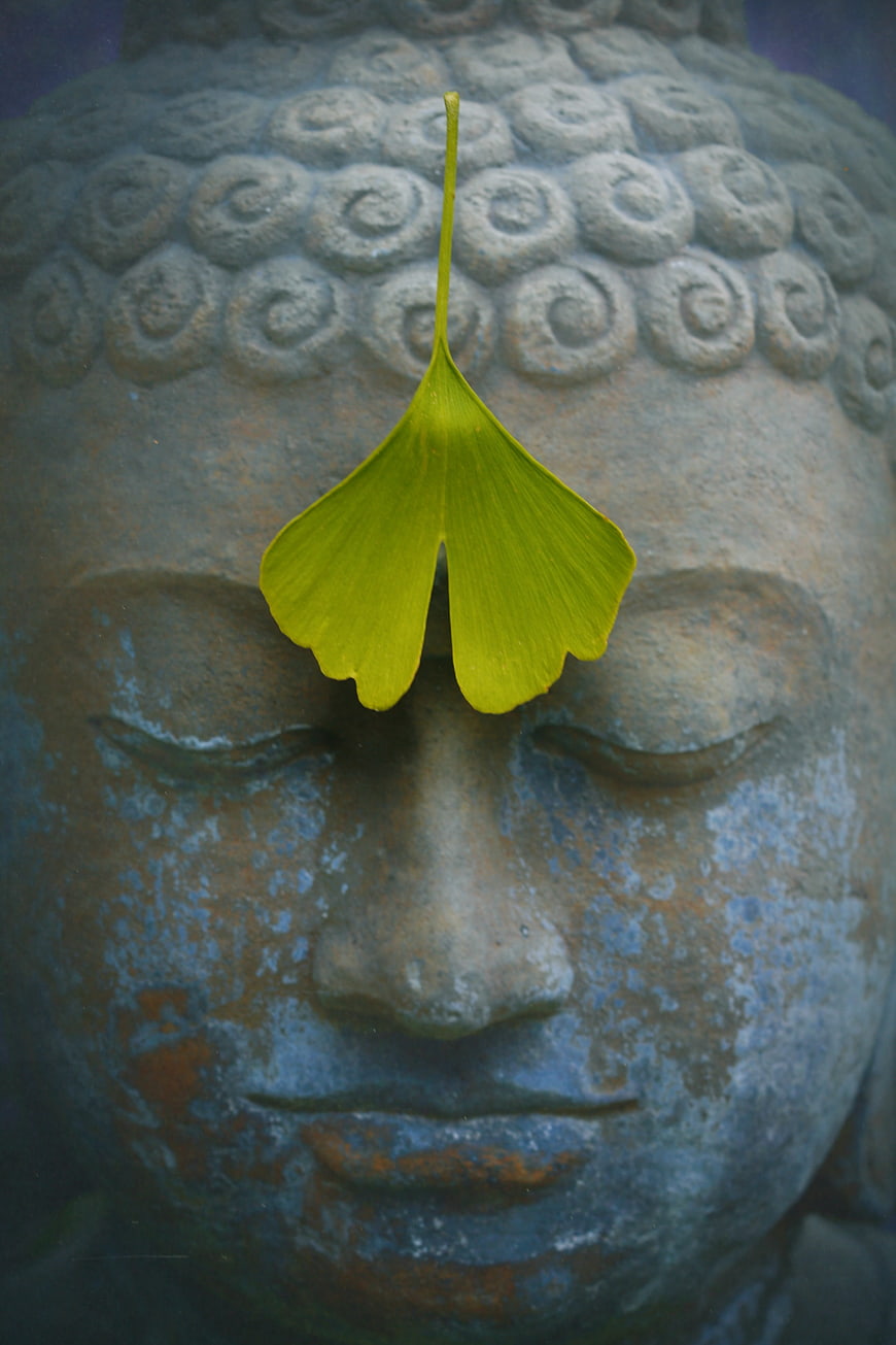 Close-up of Buddha Statue with Green Ginkgo Leaf on Forehead