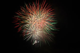 Colorful Fireworks Bursting in Night Sky