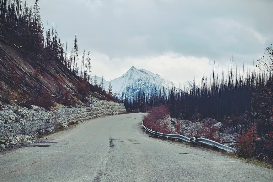Winding Mountain Road with Snowy Peak and Burnt Forest