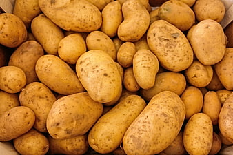 Close-up of raw yellow potatoes in a wooden crate