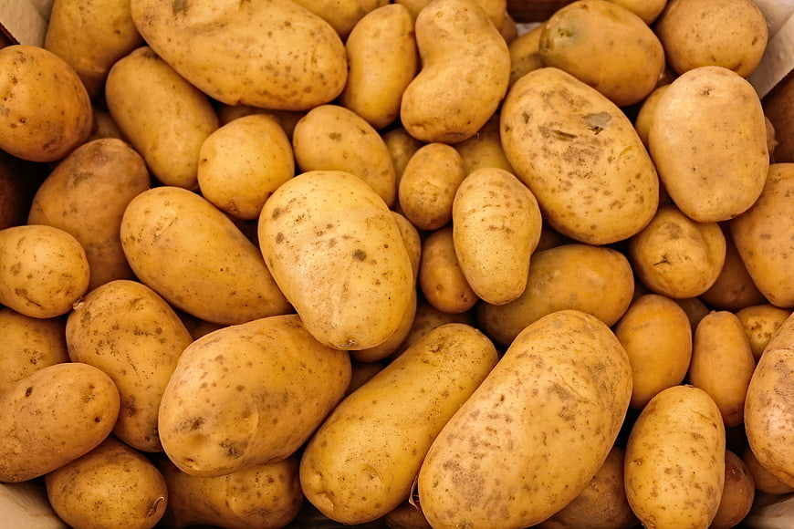Close-up of raw yellow potatoes in a wooden crate