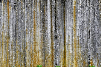 Weathered Concrete Wall Texture With Rust Streaks And Green Foliage