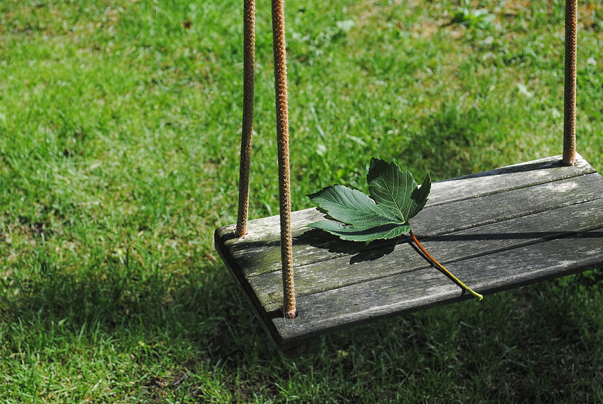 Green leaf resting on empty wooden garden swing