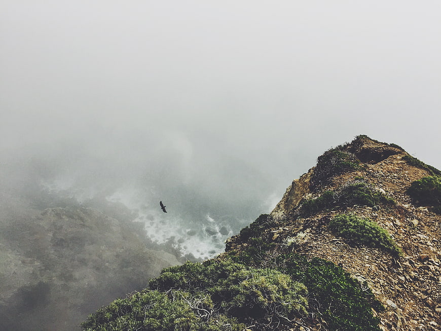 Bird Flying Over Foggy Coastal Cliff Landscape