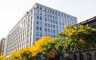 Modern Office Building with Autumn Trees in Downtown City