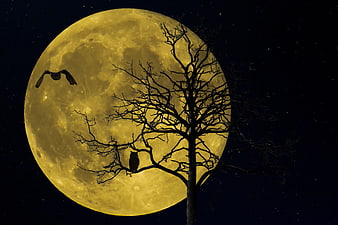 Silhouette of owls and bare tree against giant yellow full moon
