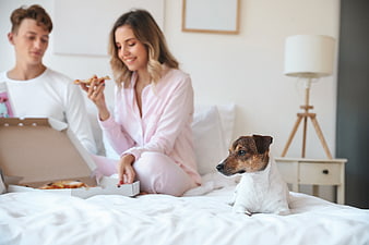 Couple Eating Pizza in Bed with Dog