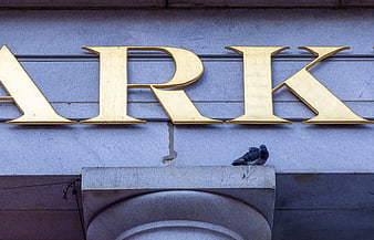 Golden Bank Signage with Pigeon on Stone Ledge