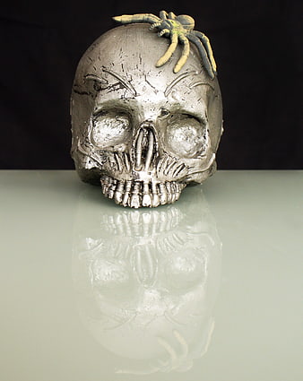 Silver Skull with Spider on Reflective Surface