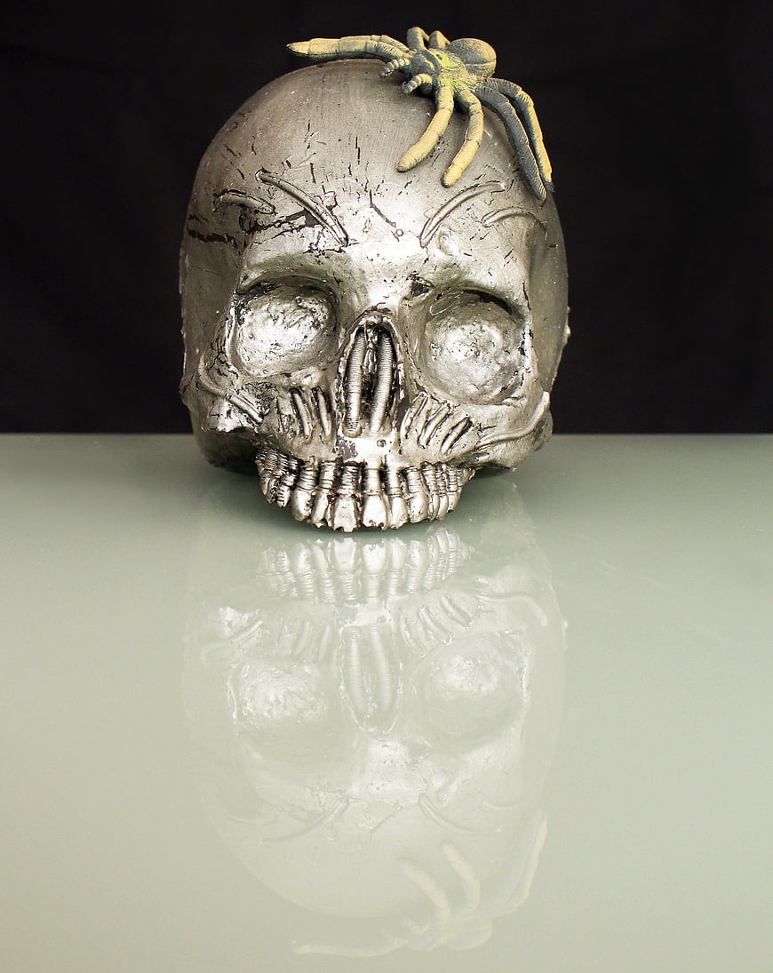 Silver Skull with Spider on Reflective Surface