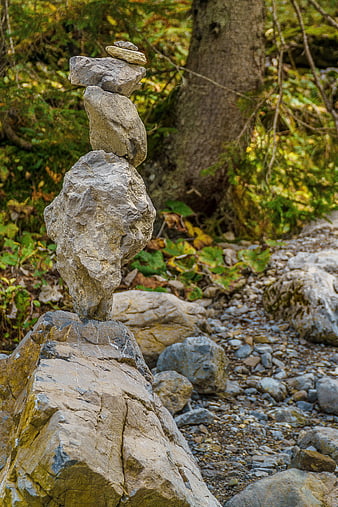 Balanced Rock Cairn in Forest