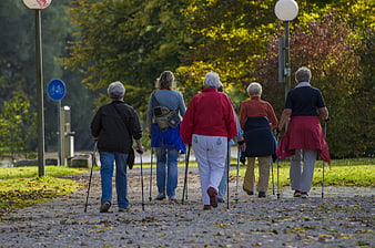 Group of Seniors Nordic Walking on Autumn Park Path