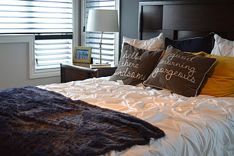 Cozy Bedroom Interior with Decorative Pillows and Natural Light