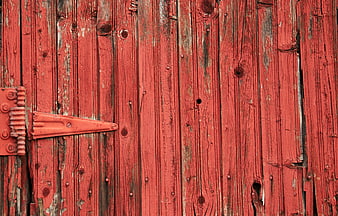 Weathered Red Barn Door Wood Texture with Hinge