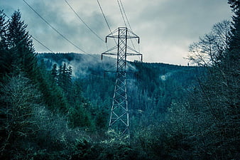 High Voltage Power Line Tower in Misty Forest