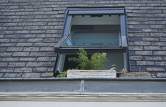 Open Dormer Window with Plants on Slate Roof