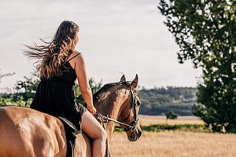Woman riding a brown horse in a golden summer field