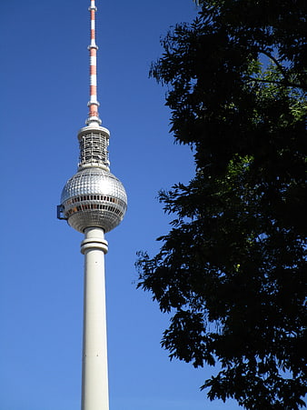 Berlin TV Tower with Tree Foliage Against Blue Sky